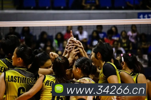 mk体育在线平台生态图