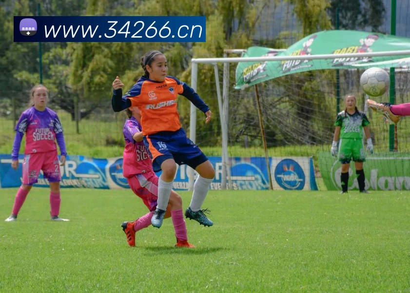 mk体育在线APP 封面图